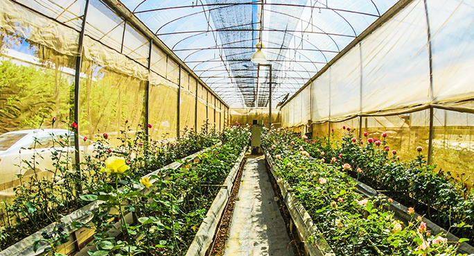 農(nóng)用邊坡綠化無紡布，汽車內(nèi)飾無紡布，家具家居無紡布，農(nóng)用邊坡綠化無紡布廠家，汽車內(nèi)飾無紡布生產(chǎn)，東莞市旭航新材料科技有限公司